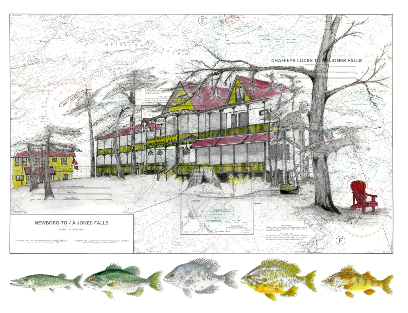 The Opinicon Project