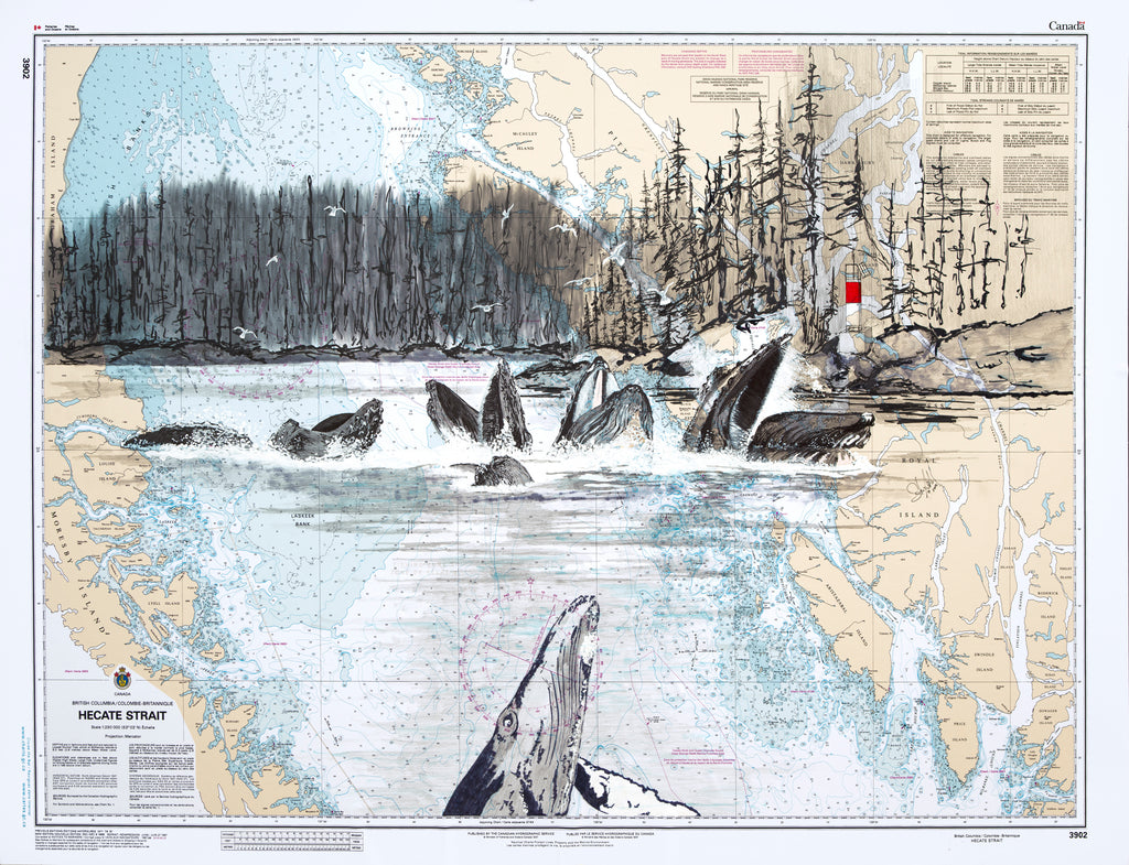 Update on "Raincoast Humpbacks"