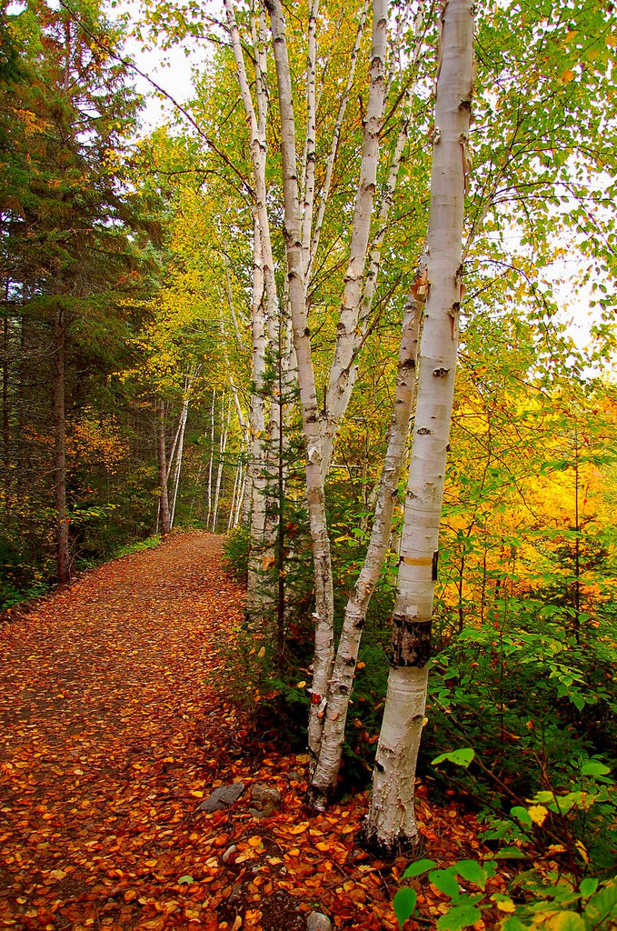 Photography - Natural Scenery