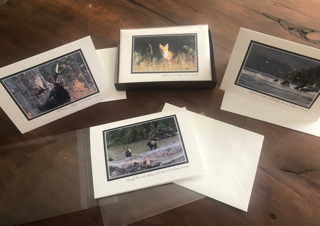 Greeting Cards