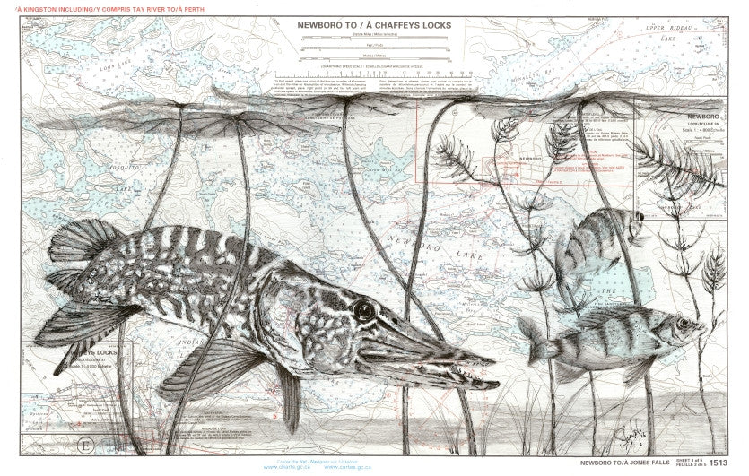 The Chase - Northern Pike and Perch